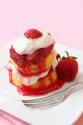 Double Strawberry Shortcake